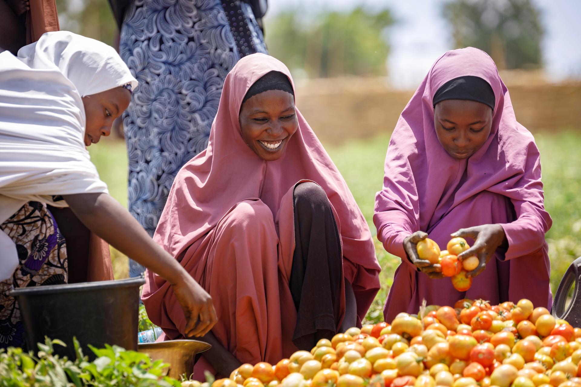 Grow Nigeria Together